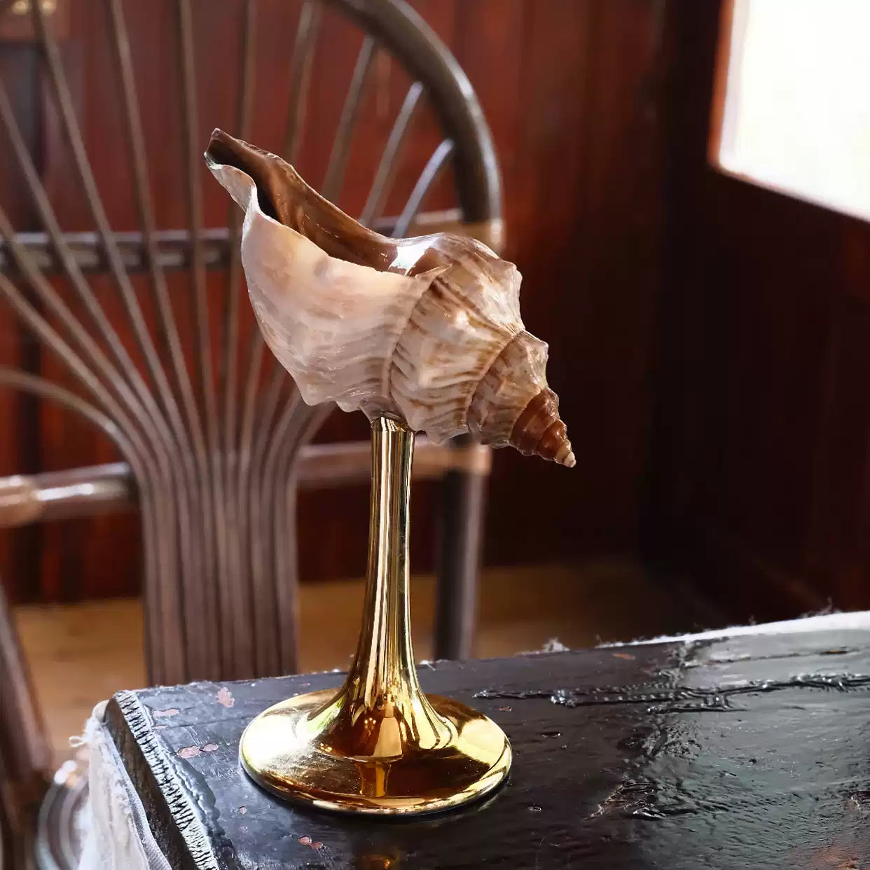 Natural Conch Wine Glass-4
