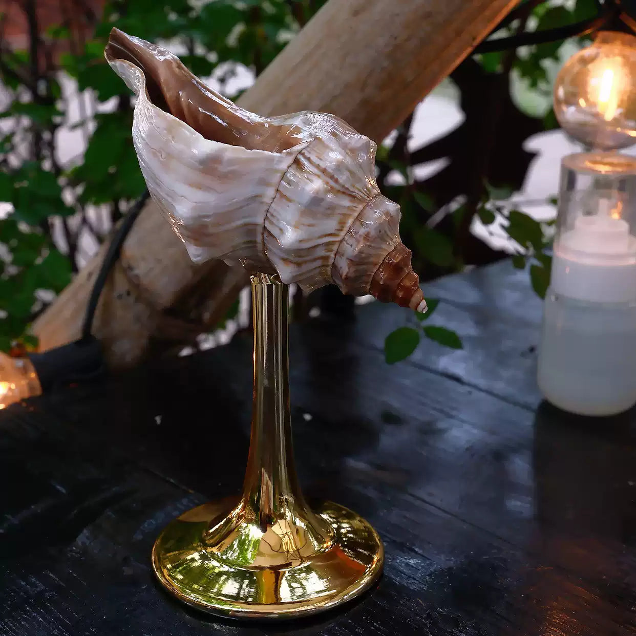 Natural Conch Wine Glass-3