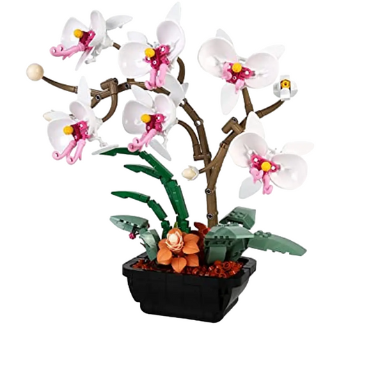 Flowers Orchid Building blocks