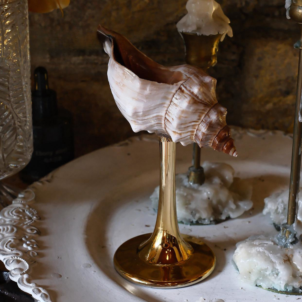 Natural Conch Wine Glass-2